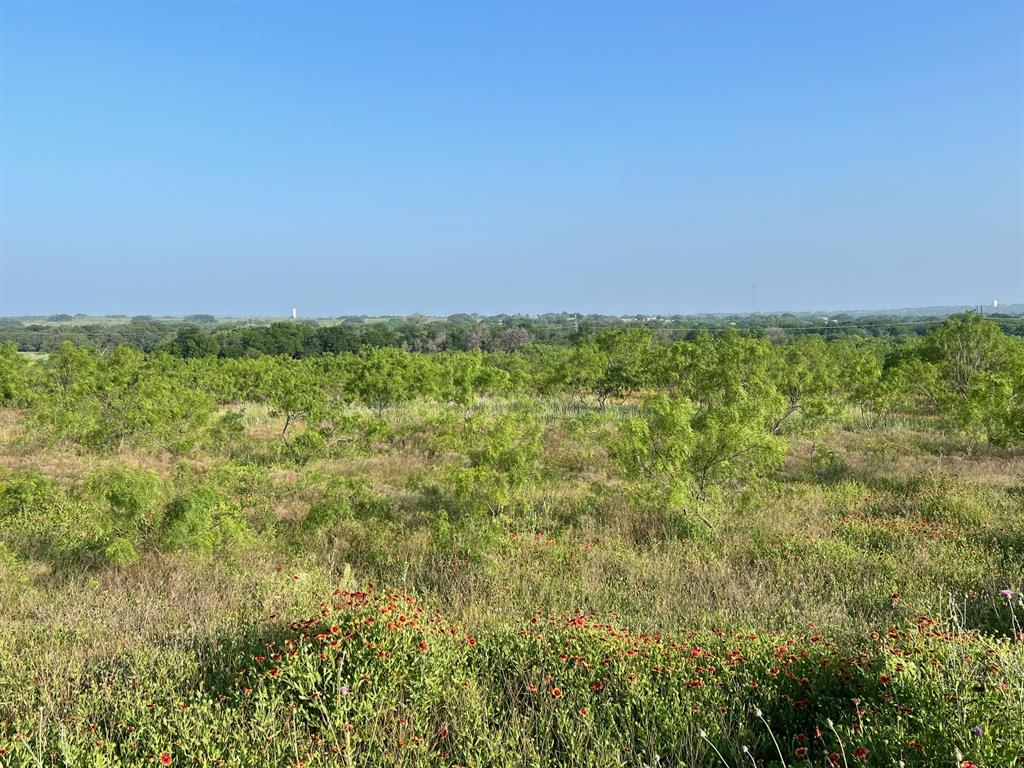 Tbd S Hwy 16 Property Photo 6