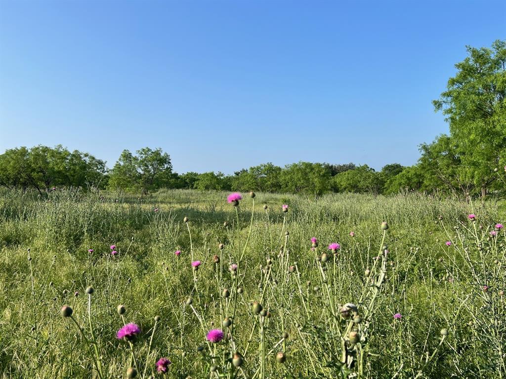 Tbd S Hwy 16 Property Photo 8