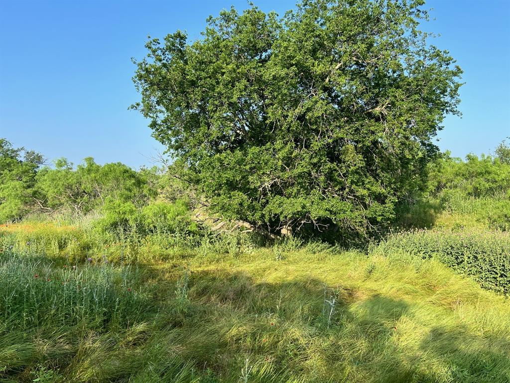 Tbd S Hwy 16 Property Photo 9