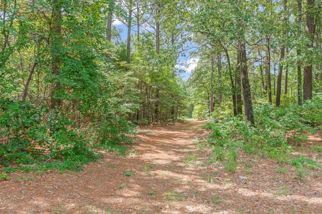 23340 Fm 1253 Property Photo 29