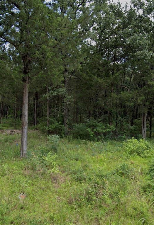 Tbd Rs County Road 1180 Property Photo 2