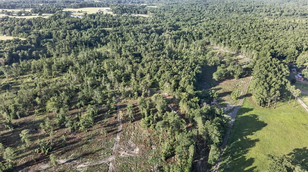 Tbd 21 Acres Cr 3116 Property Photo 6