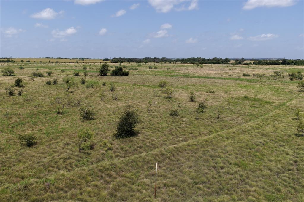 2862 Farm Market 1702 Property Photo 6