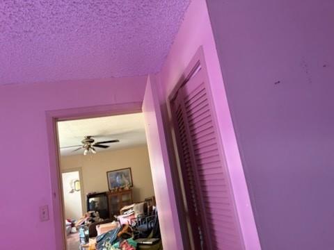 517 5th Avenue Property Photo 20