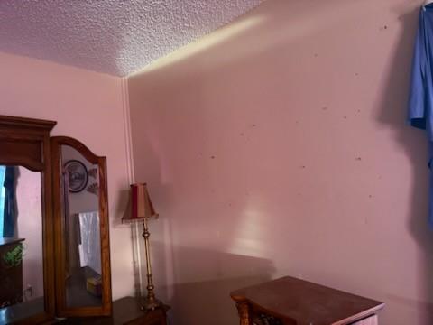 517 5th Avenue Property Photo 23