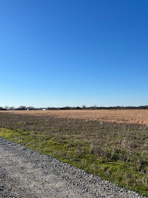 Tbd County Road 1240 Property Photo 5