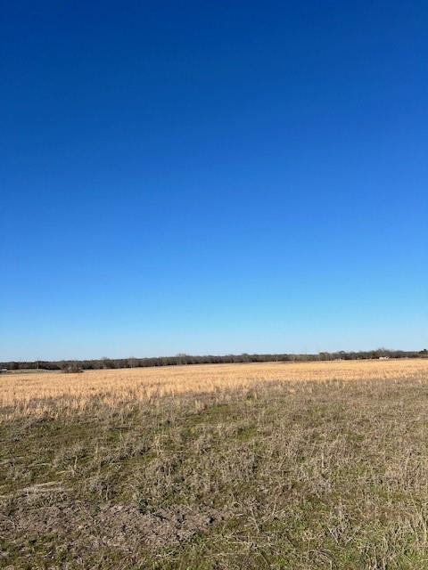 Tbd County Road 1240 Property Photo 6