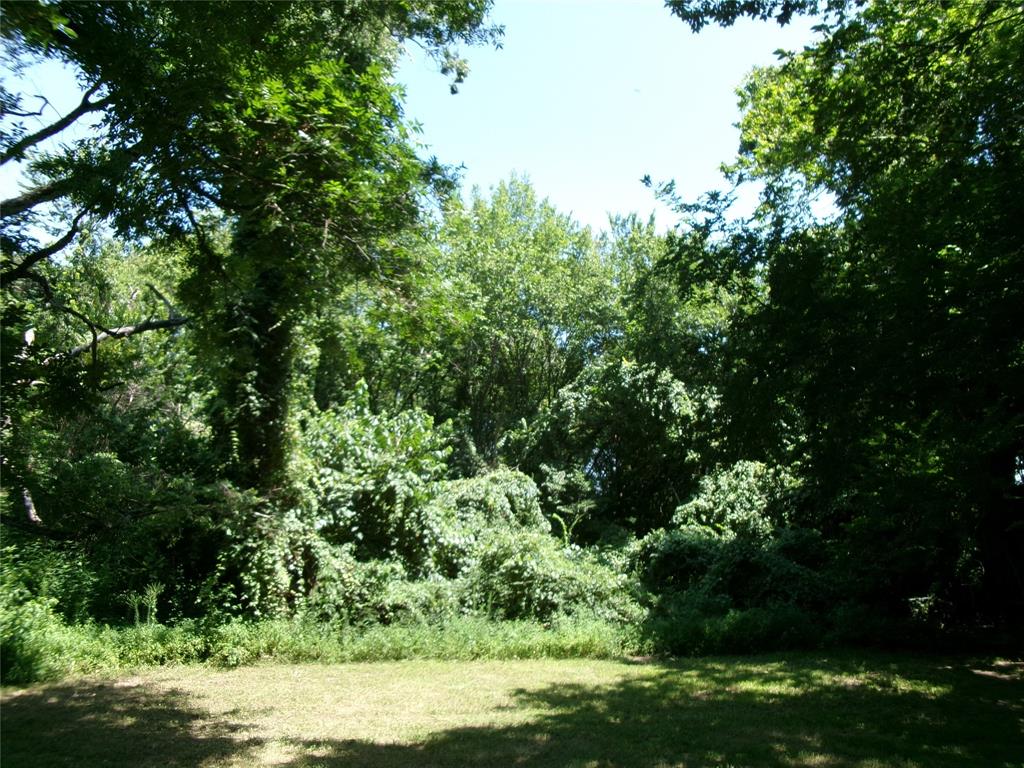 204 Maxwell Street Property Photo 9
