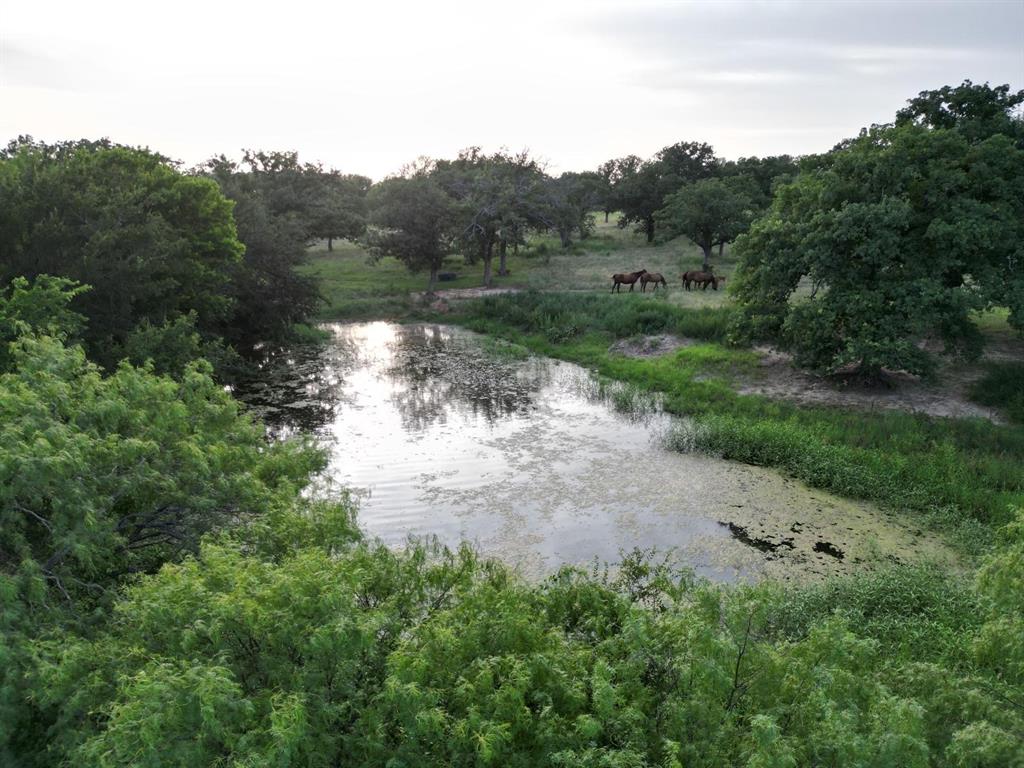 951 Fm 1476 Property Photo 25