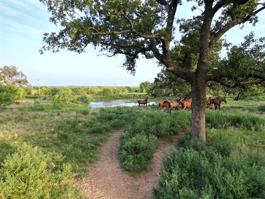 951 Fm 1476 Property Photo 27