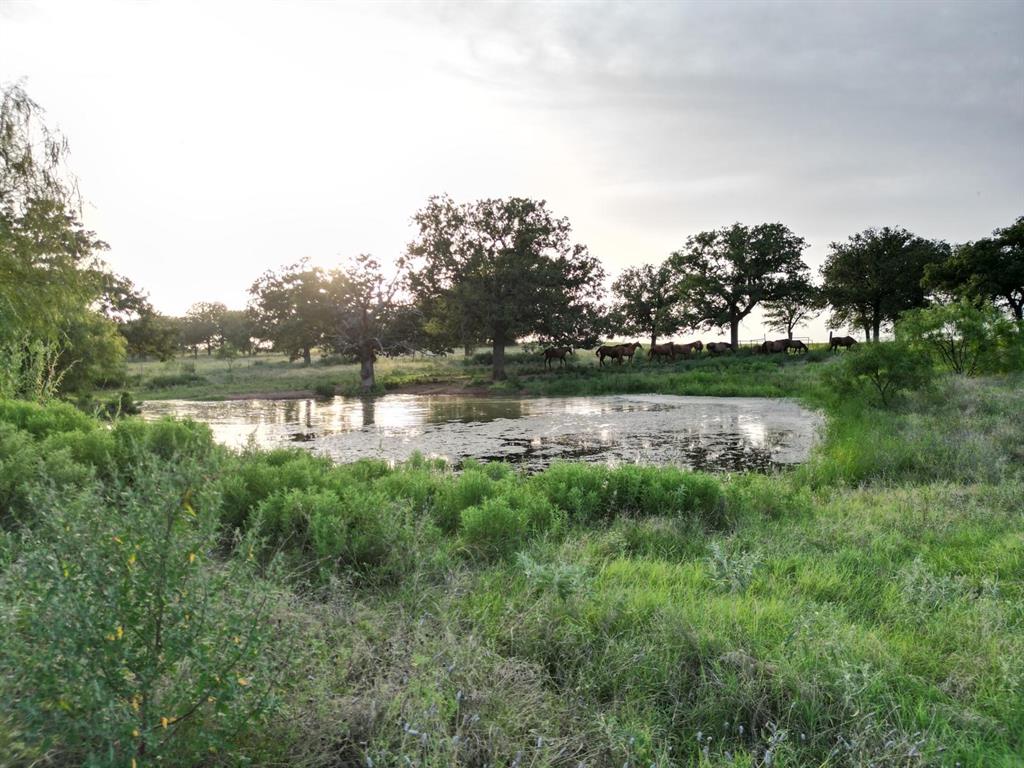 951 Fm 1476 Property Photo 30