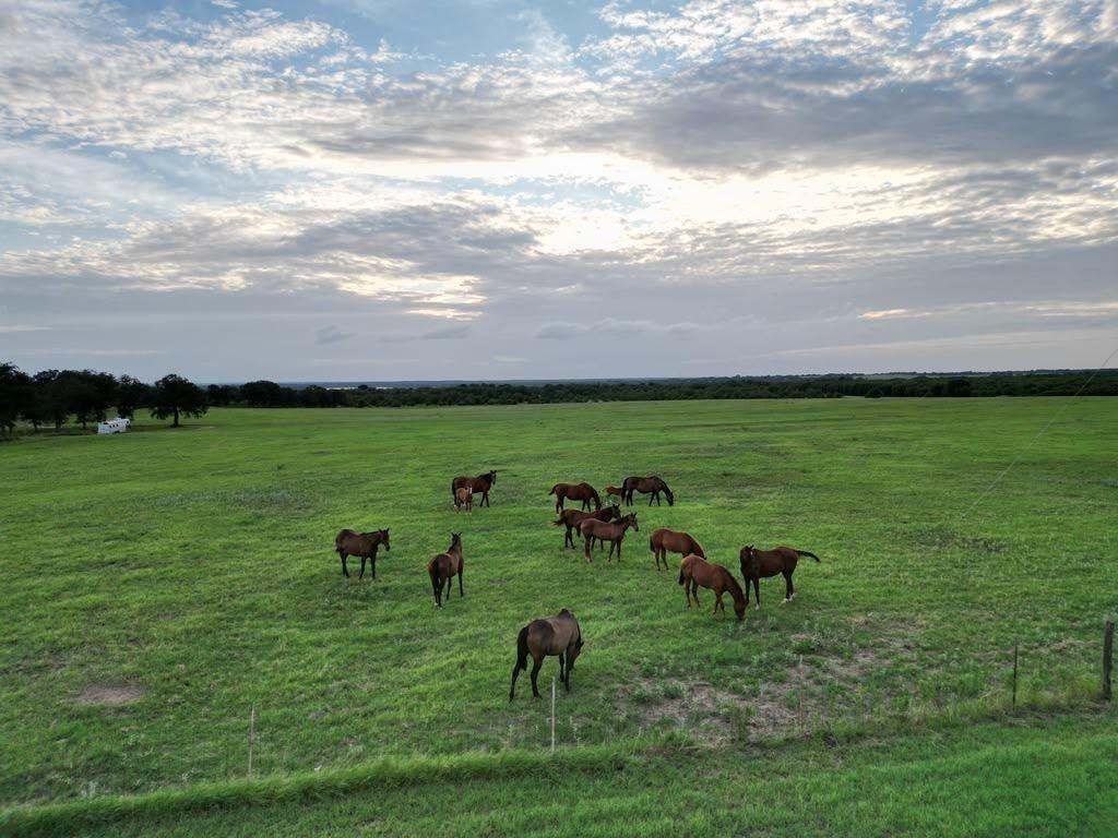 951 Fm 1476 Property Photo 31