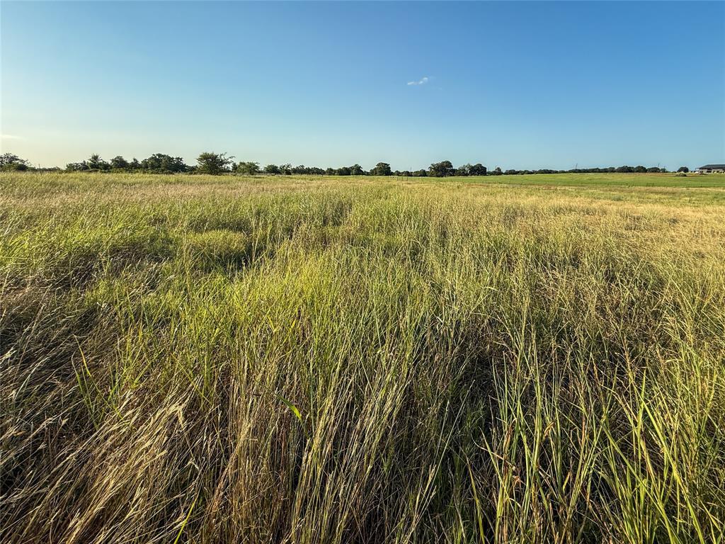 300 County Road 1475 Property Photo 22