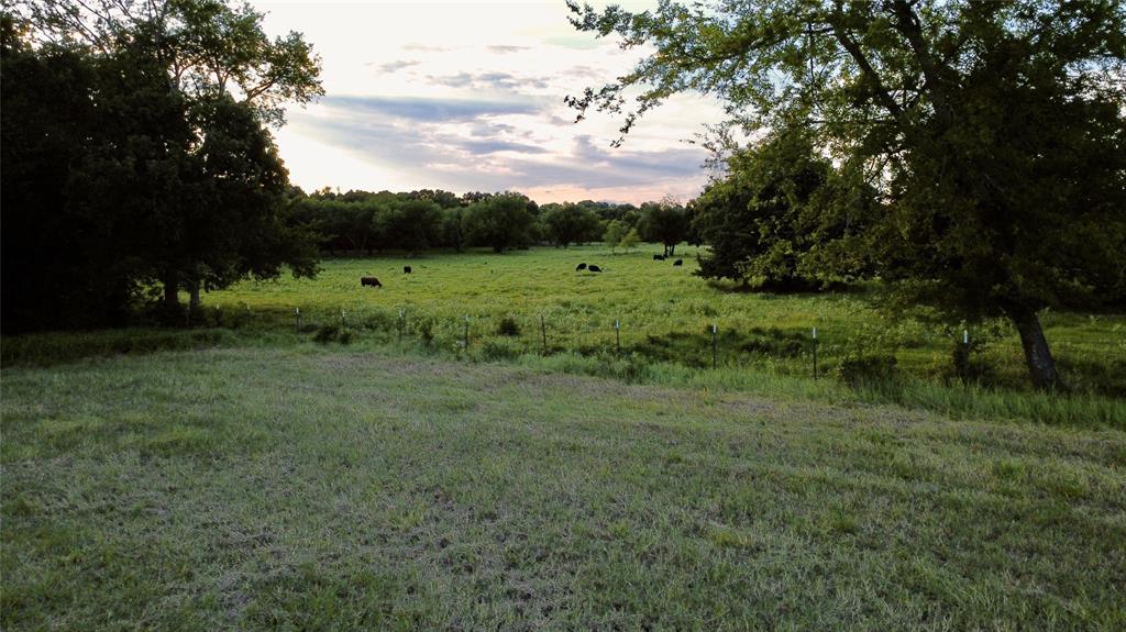 336 County Road 1118 Property Photo 12