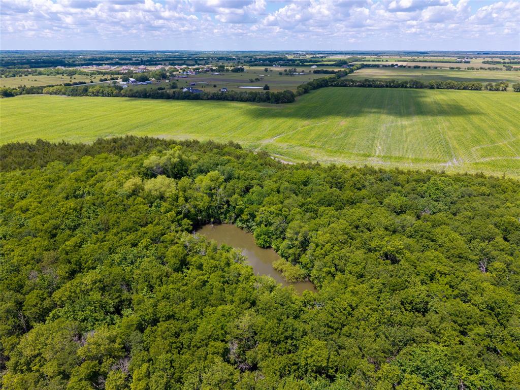 100+/-ac Fm 36 Property Photo 14