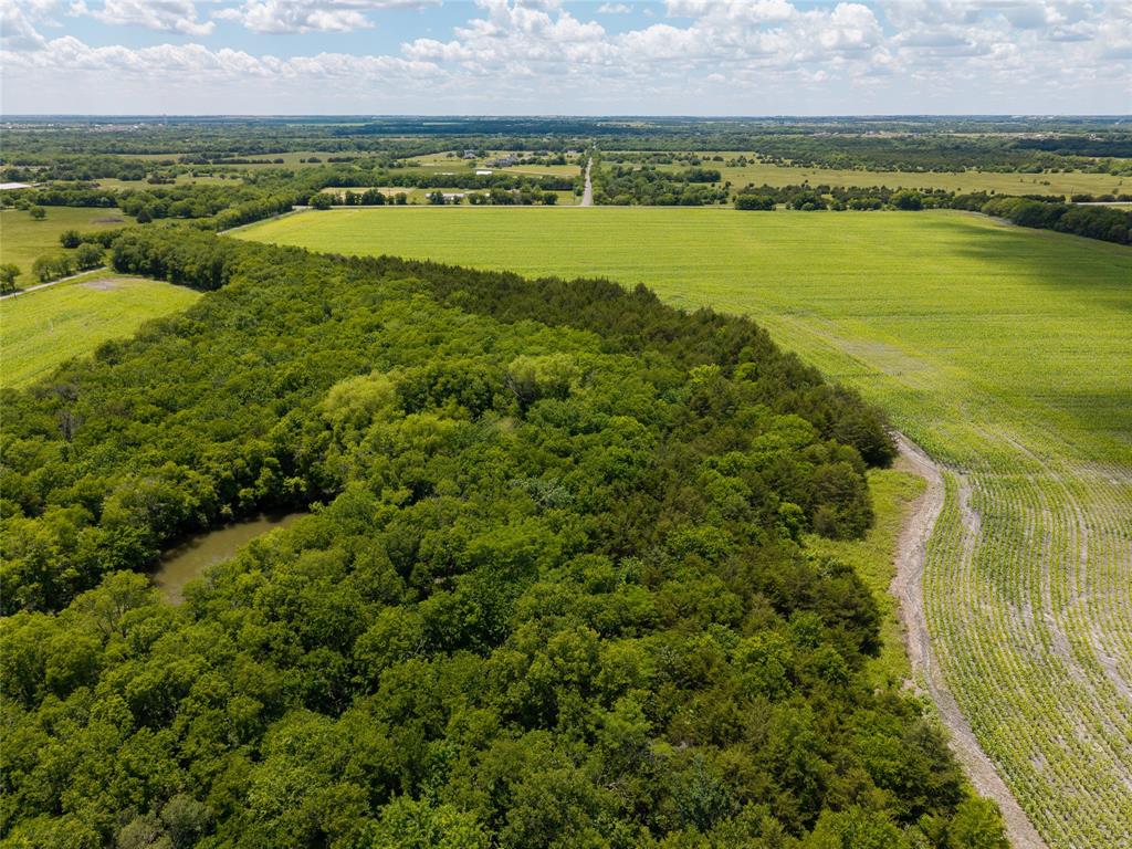 100+/-ac Fm 36 Property Photo 15