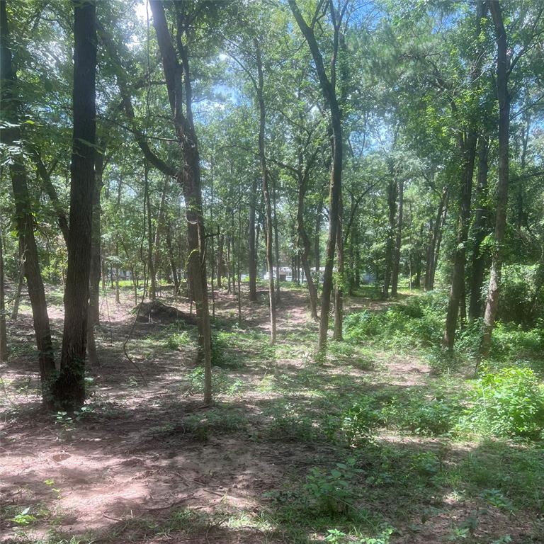 Tbd Azalea Lane Property Photo 1