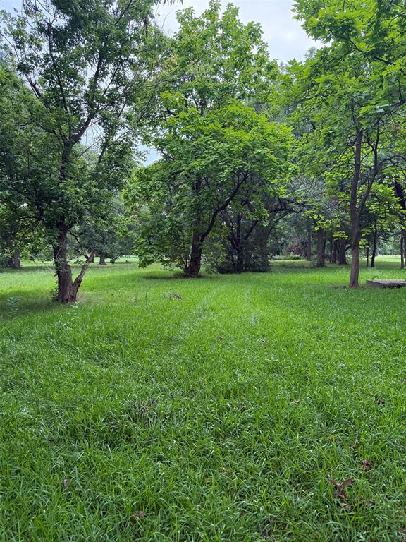 510 Braz Street Property Photo 2