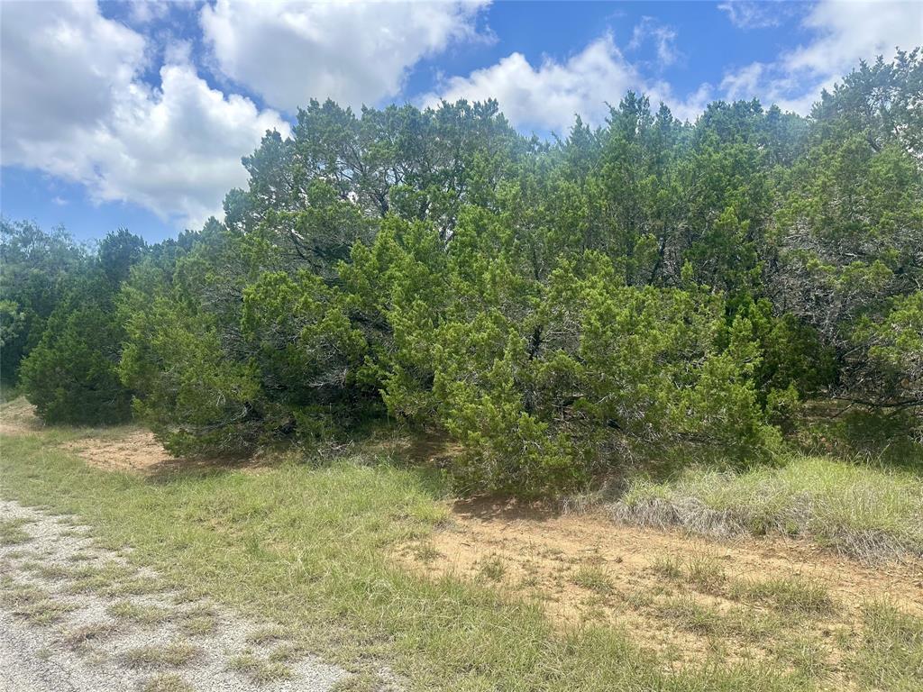 25058 Forrest Drive Property Photo 1