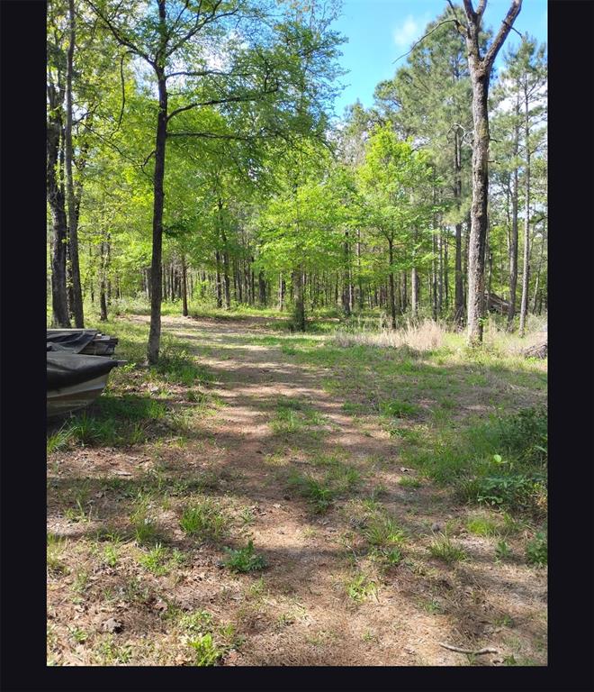 Tbd State Hwy 19 Property Photo 1