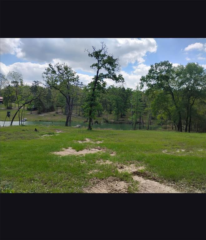 Tbd State Hwy 19 Property Photo 2