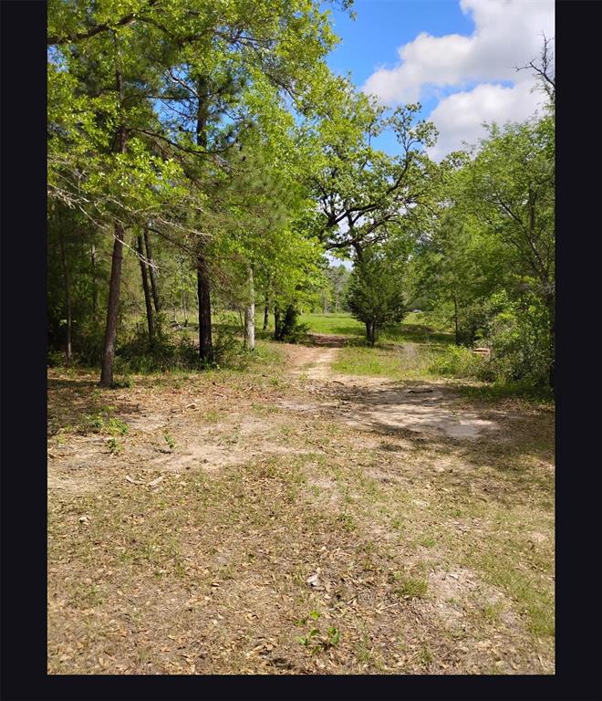 Tbd State Hwy 19 Property Photo 3