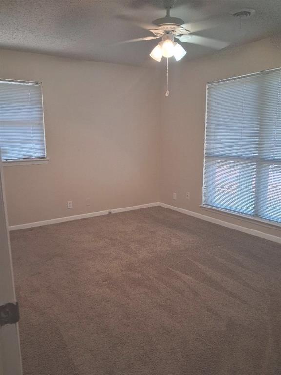 61 Somerset Terrace Property Photo 10