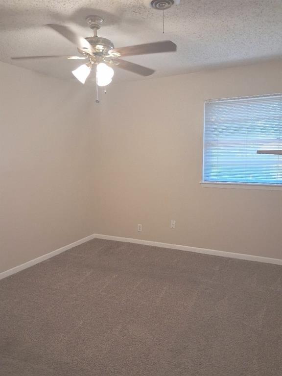 61 Somerset Terrace Property Photo 17