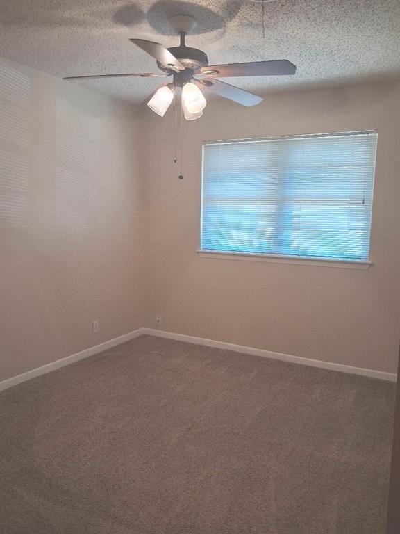61 Somerset Terrace Property Photo 20