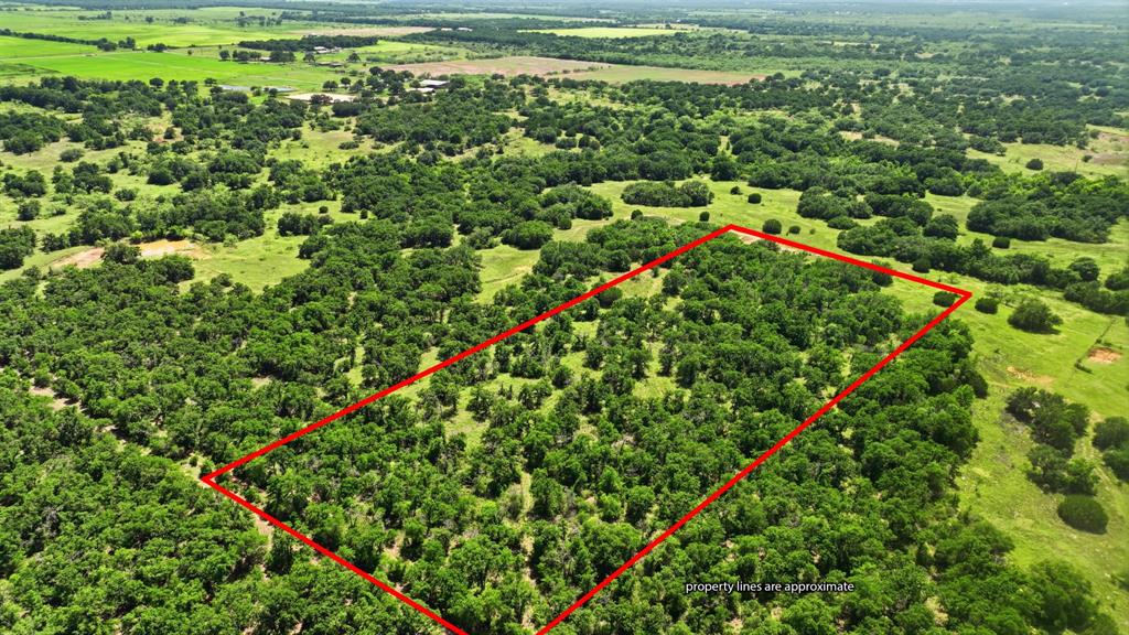 Tbd County Rd 581 Property Photo 1