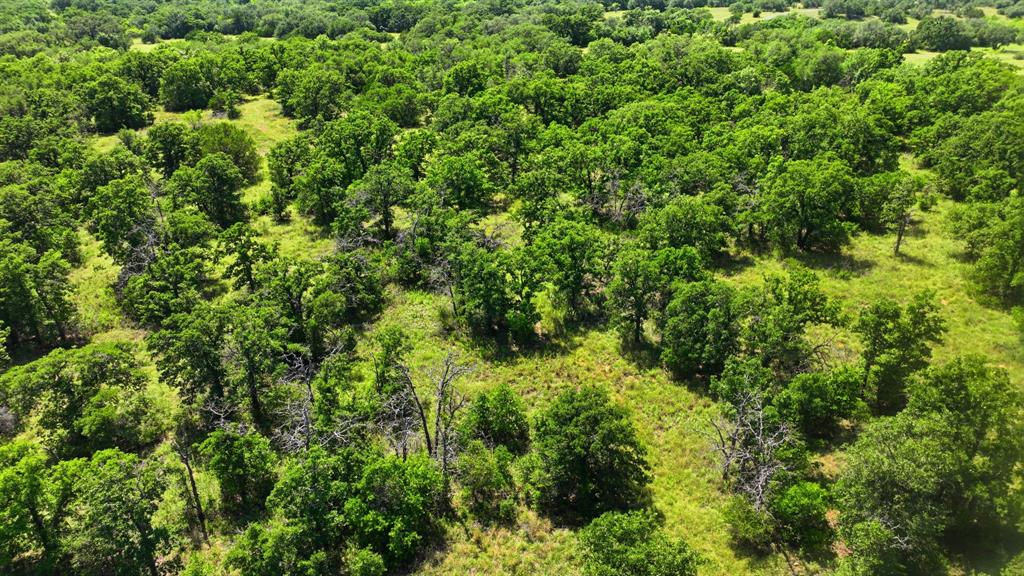 Tbd County Rd 581 Property Photo 3