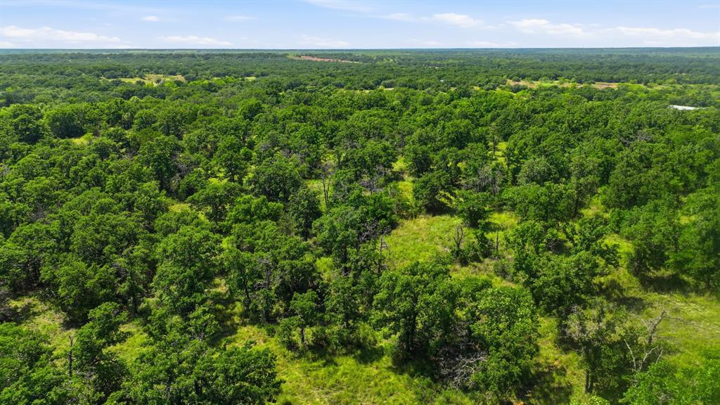 Tbd County Rd 581 Property Photo 4
