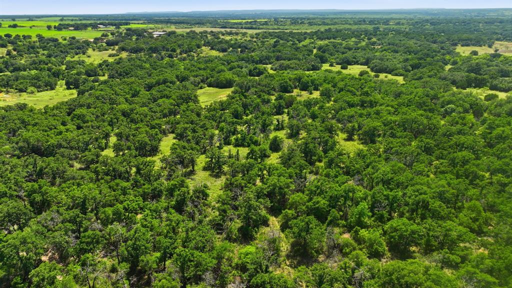 Tbd County Rd 581 Property Photo 8
