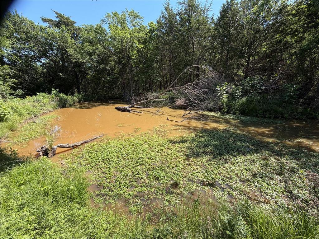3700 County Road 4040 Property Photo 10