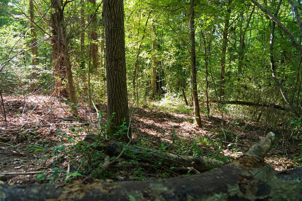 000 N Fm 319 Property Photo 6