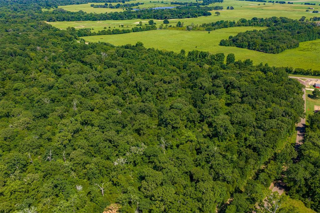 000 N Fm 319 Property Photo 15
