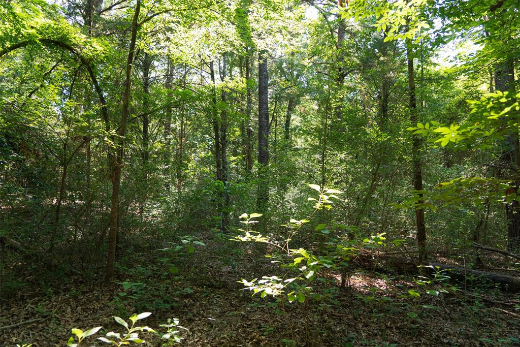 000 N Fm 319 Property Photo 19