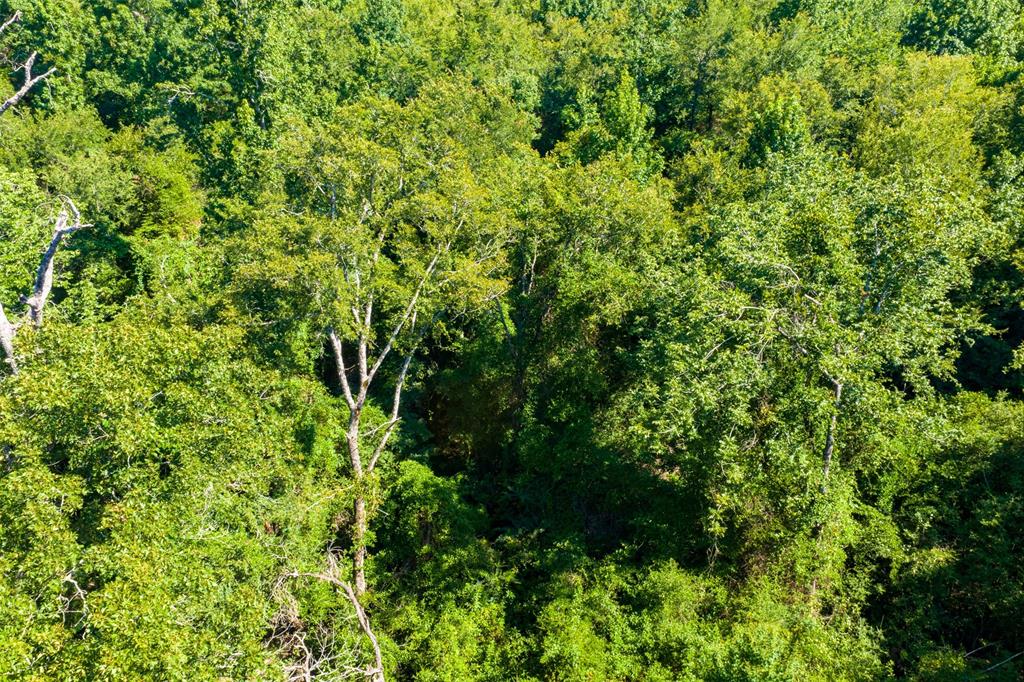000 N Fm 319 Property Photo 22