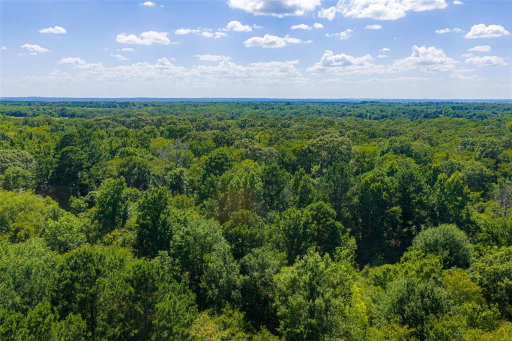 000 N Fm 319 Property Photo 26