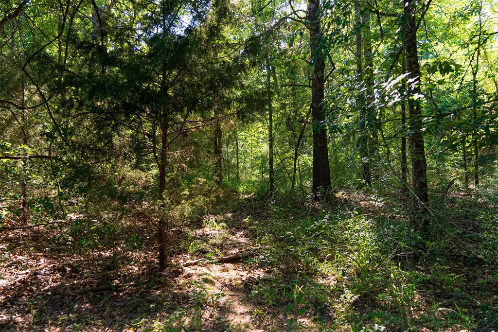 000 N Fm 319 Property Photo 35