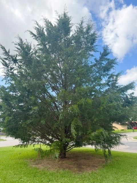 4504 Delwood Drive Property Photo 5