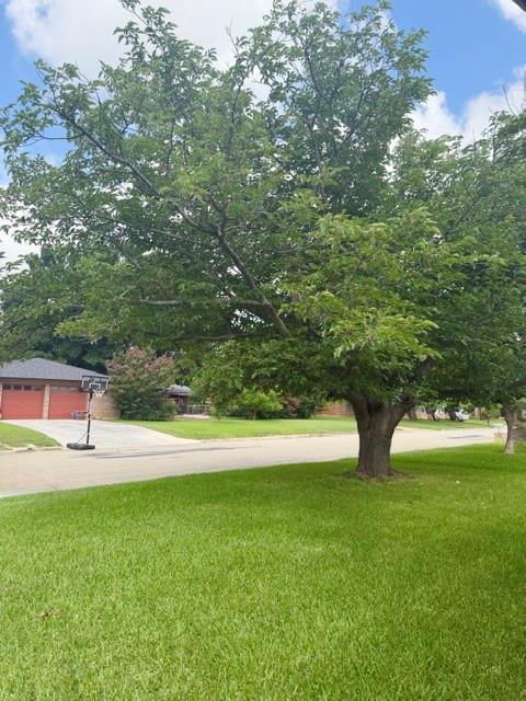 4504 Delwood Drive Property Photo 6