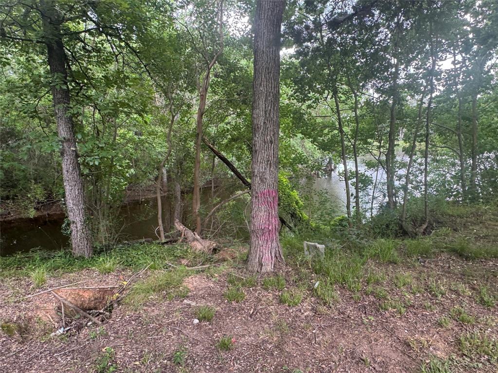 260 Lakeshore Drive Property Photo 7