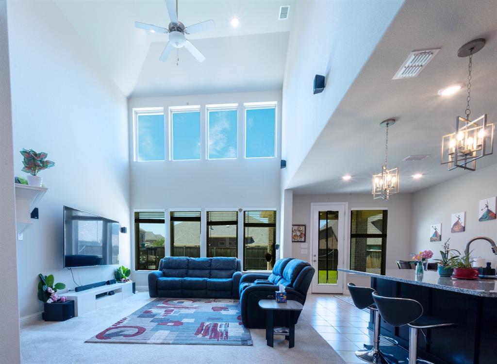 2541 Canary Grass Lane Property Photo 6