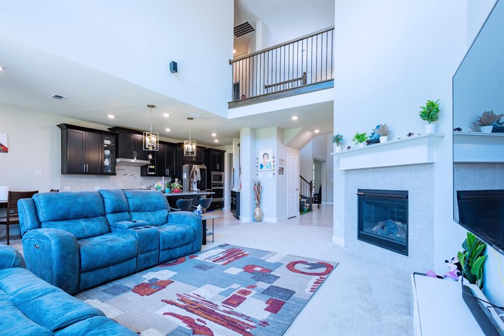 2541 Canary Grass Lane Property Photo 7