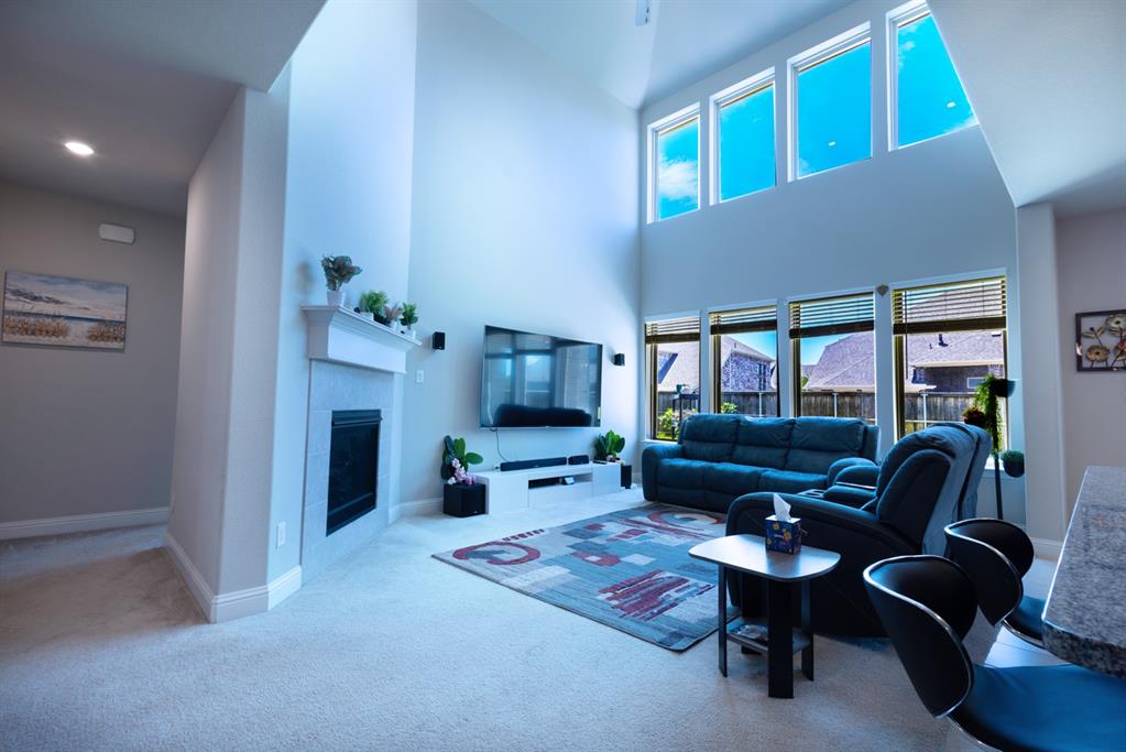 2541 Canary Grass Lane Property Photo 8