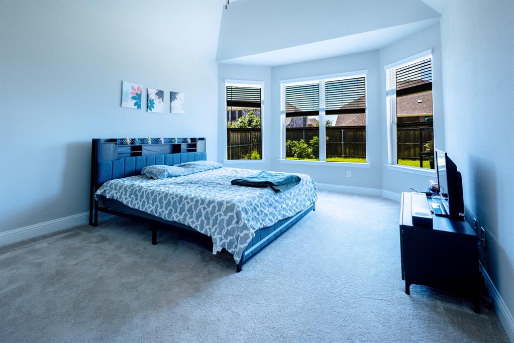 2541 Canary Grass Lane Property Photo 14