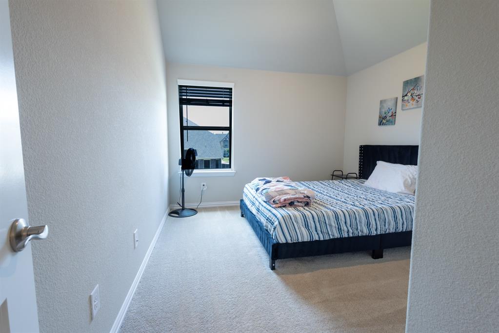 2541 Canary Grass Lane Property Photo 19