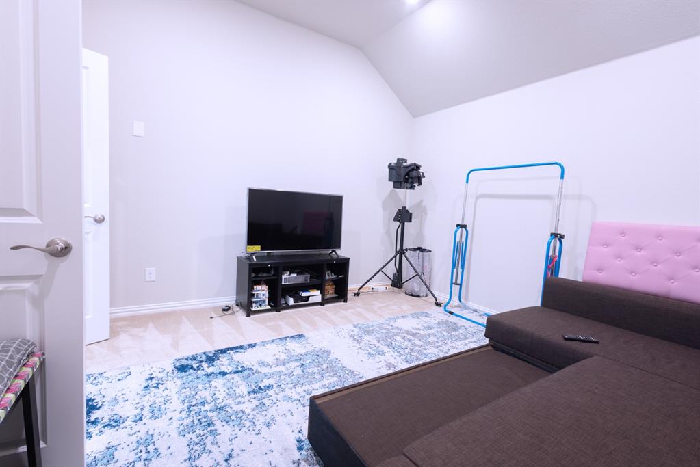 2541 Canary Grass Lane Property Photo 25