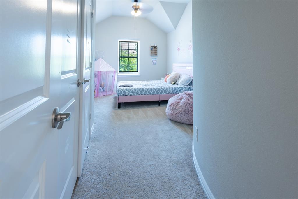 2541 Canary Grass Lane Property Photo 27